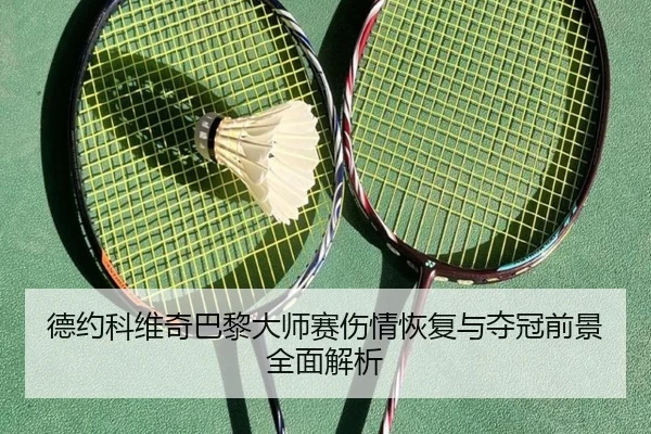 德约科维奇巴黎大师赛伤情恢复与夺冠前景全面解析 - OD SPORTS